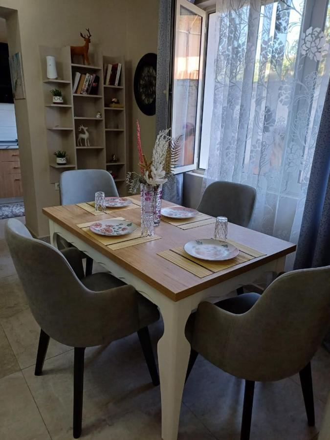 Mishel House Daire Shkodër Dış mekan fotoğraf